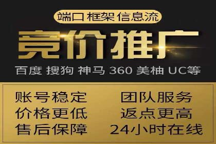 案例研究：SEM推广助力企业业绩增长